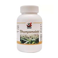Бхумиамалаки (Bhumyamalaki) - здоровая печень / 40 капс., SDM